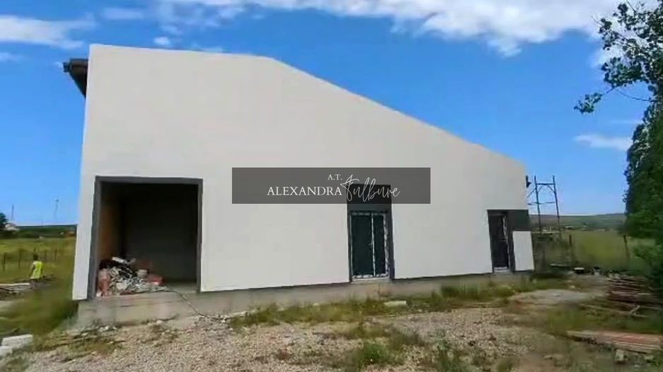 Hală productie/birouri/depozitare, teren 3.500 mp – Tureni - Poză 3