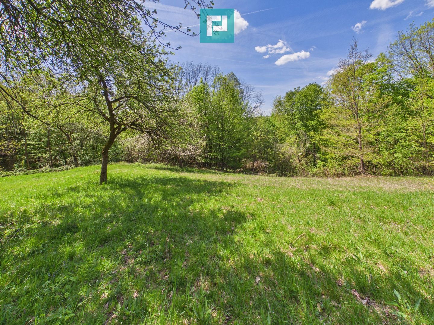 Proprietate rară cu 24.270 mp, în Măgulicea, Arad! - Poză 42