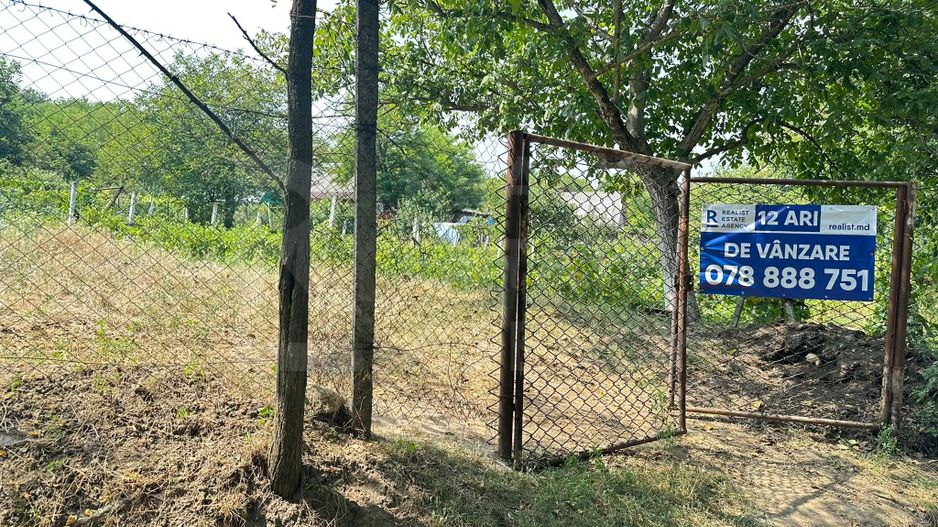 Vânzare, teren pentru constucție 10 ari, Rădeni - Poză 3
