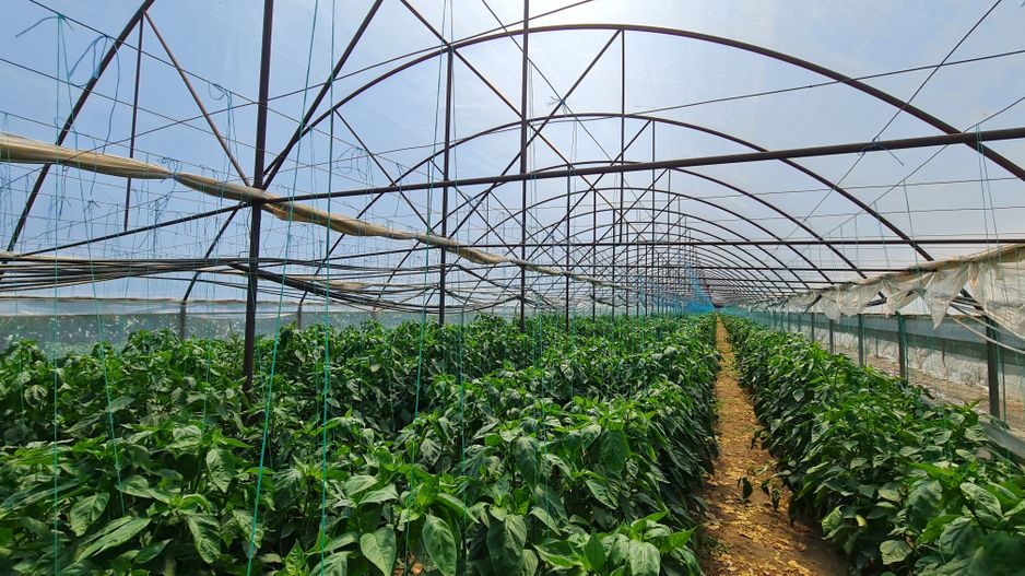 Afacere la cheie! Incasari din prima zi!!! - Poză 2