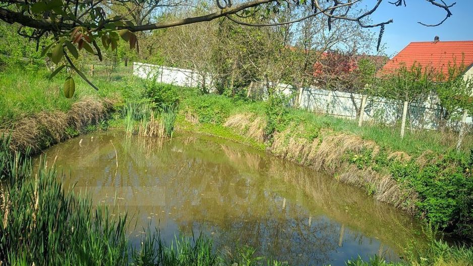 Vânzare, casă, com. Boșcana, r-nul Criuleni - Poză 11