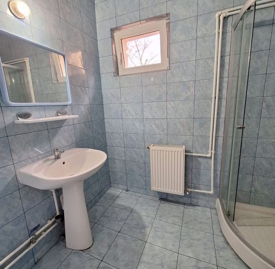 Inchiriere Casa Centrala Pitesti- Livezilor - Poză 6