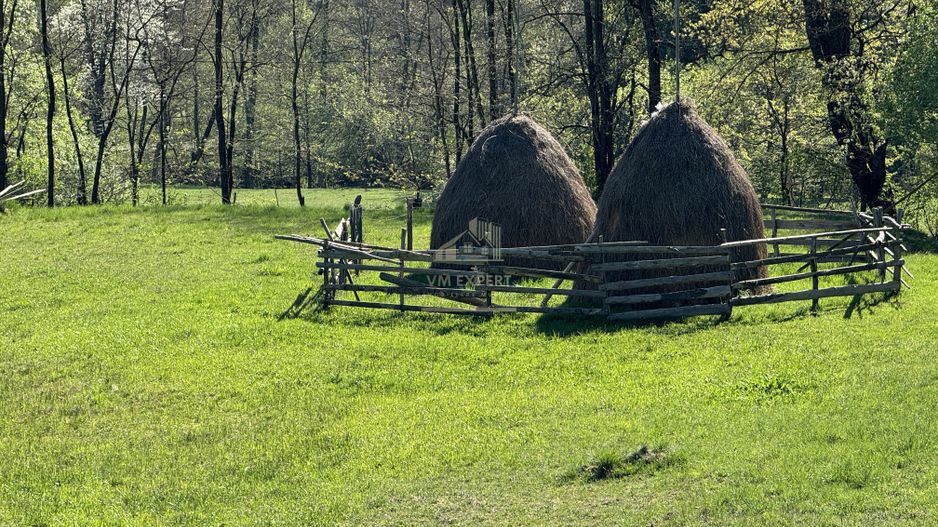 TEREN INTRAVILAN 2592 MP,  ALBESTI DE MUSCEL, ARGES - Poză 8