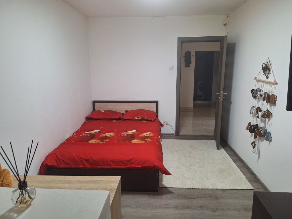 Vanzare apartament 4 camere decomandat, 85 mp, 2 băi, parter, Gorjului - Poză 3