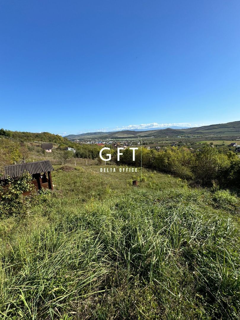 Teren de vanzare in Viisoara, 96 Ari. - Poză 1