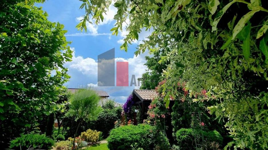 Vila superba cu gradina si panouri solare | Tancabesti - Poză 5