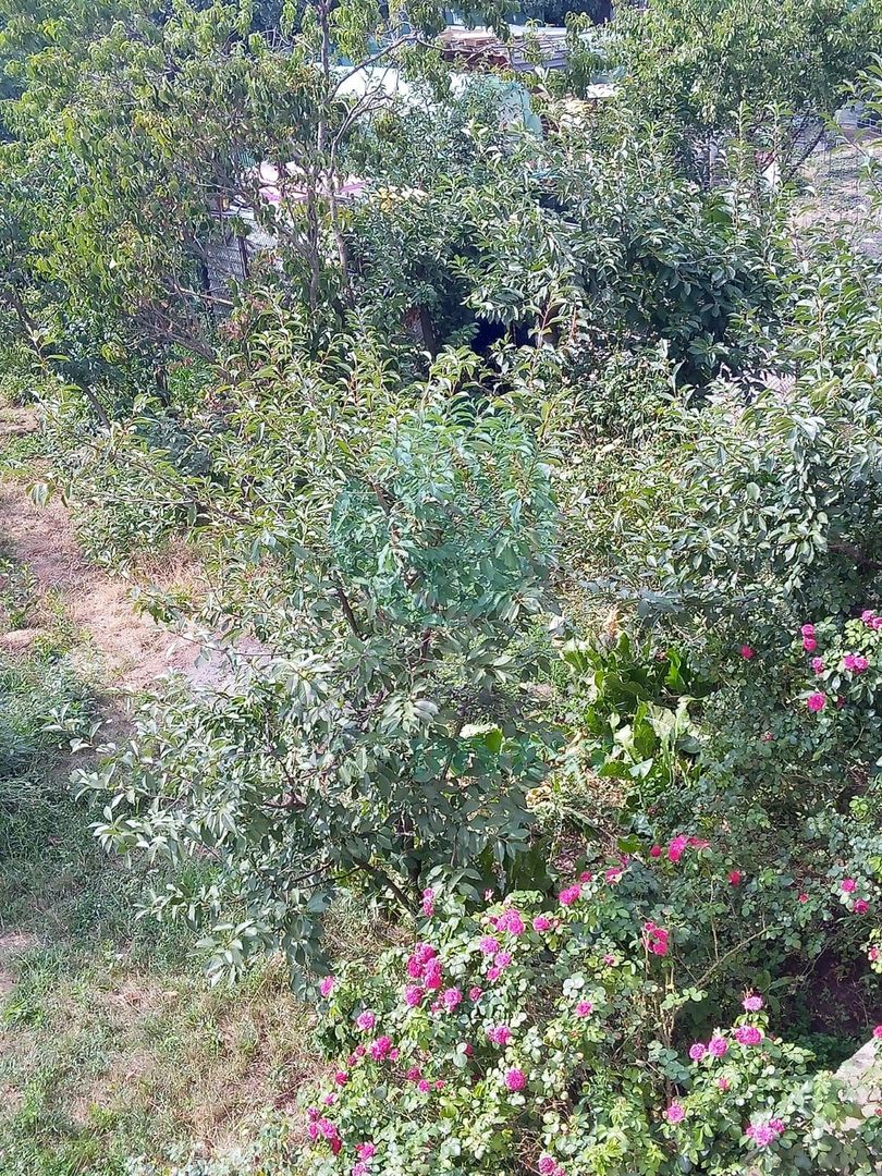 Teren constructii intavilan de 600 mp, Popesti-Leordeni - Poză 4