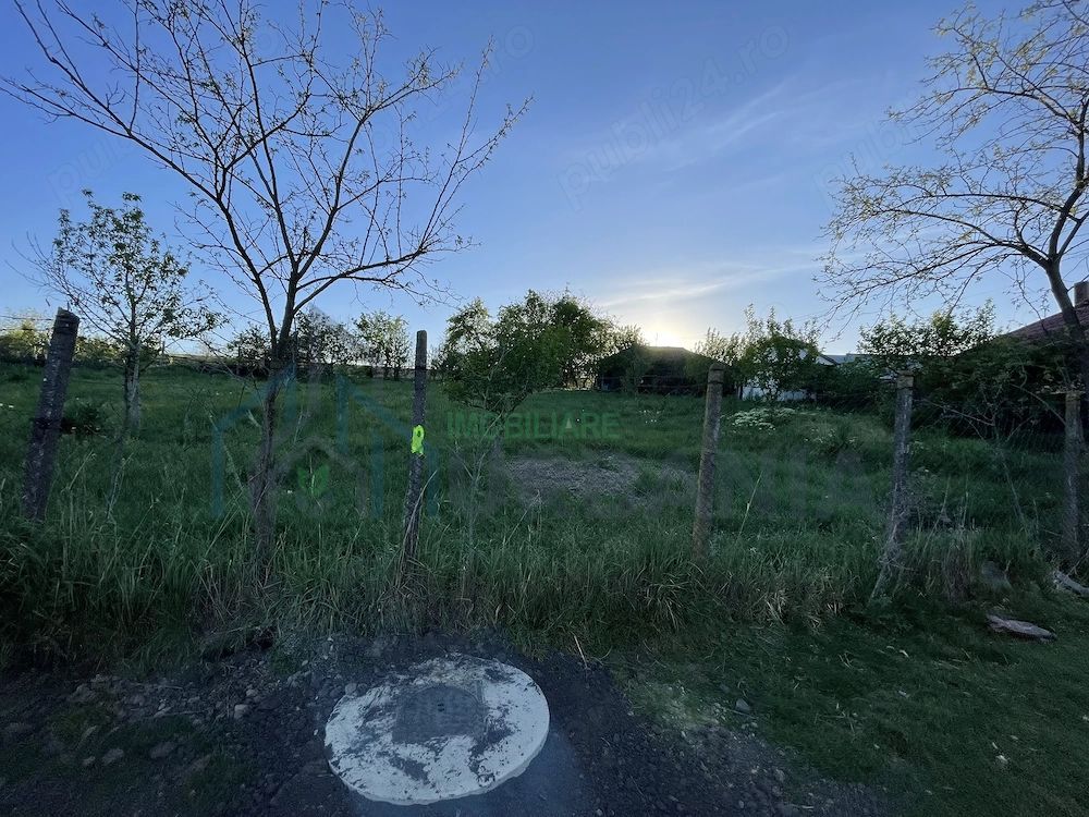 6.000 mp intravilan sat Avintu - Poză 5