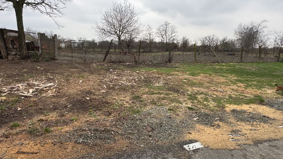 Teren Intravilan Becicherecu Mic 598mp,Utilitatile In Fata Parcelei,Asflat - Poză 1