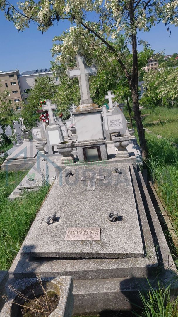 Loc de veci cu criptă, Cimitirul Sfânta Treime, Parcela 18, Păcurari, Iași - Poză 1