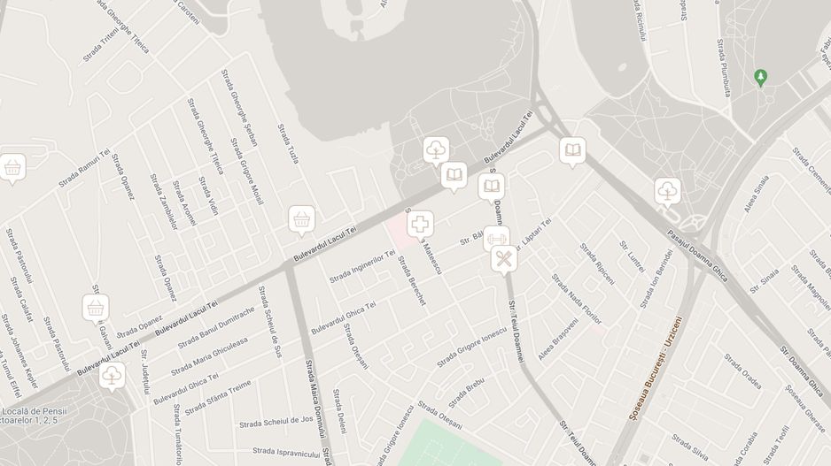 STUDIO DUBLU | CU GRADINA | LANGA PARCUL TEI - Poză 10