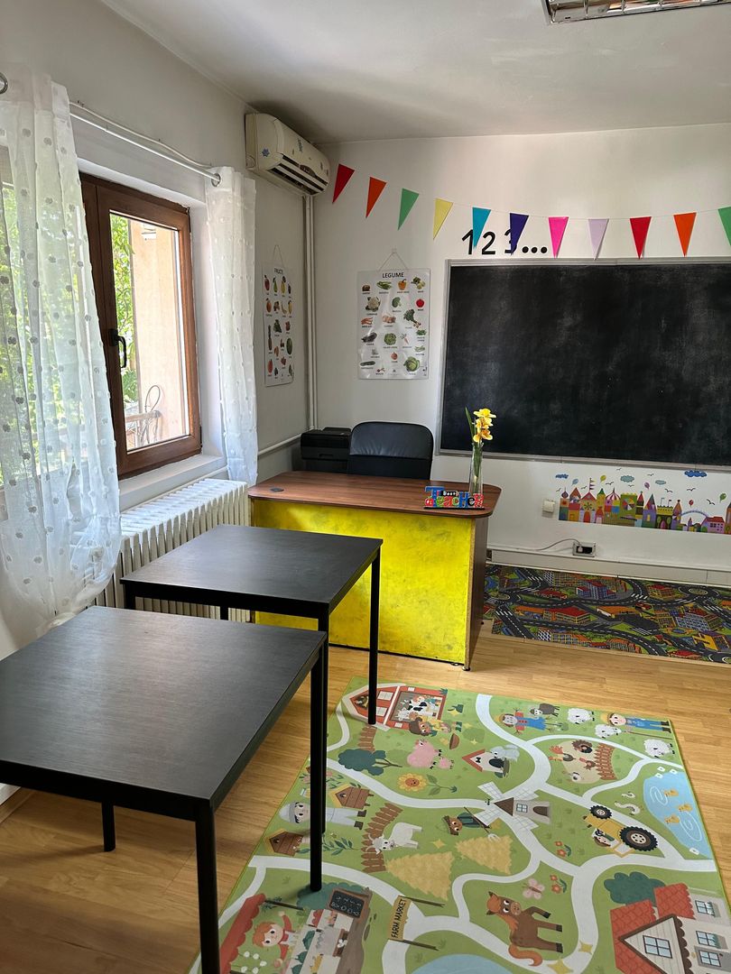 SPATIU COMERCIAL DOMENII, LOC PARCARE, CENTRALA, MOBILAT/UTILAT, CURTE - Poză 20