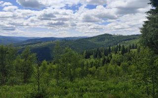 Vânzare, teren, extravilan, Suceava - Poză 1