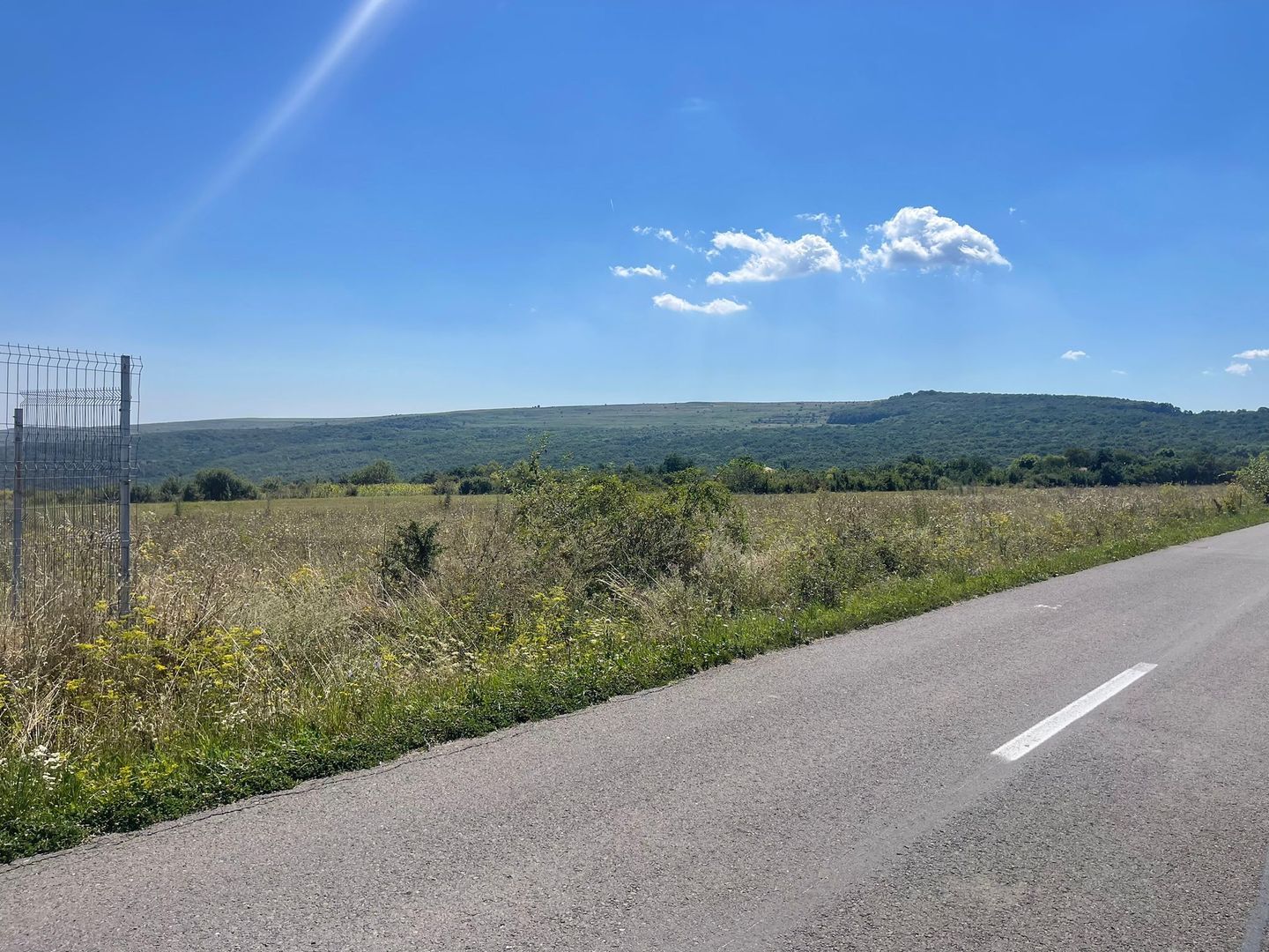 Teren Intravilan | Padureni | Investiție | 27000 mp - Poză 2