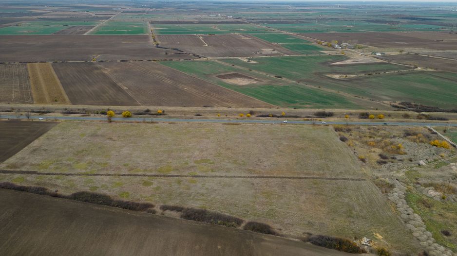 Teren 22.500 mp – Pecica, jud. Arad - Poză 8