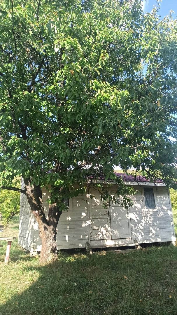 Tren si casa de vacanta in Panticeu - Poză 5