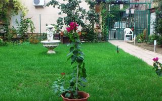 Casa/Vila/Spatiu comercial  Rahova-Sos.Salaj - Poză 7