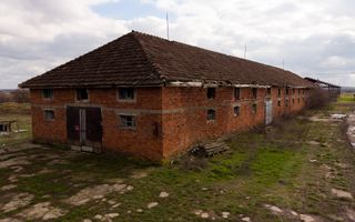 Fermă cu teren intravilan de 35000 mp în Mișca - Poză 19