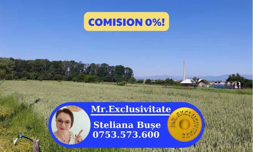 Teren 10.294 mp de vânzare Târgu Jiu | Intravilan + Extravilan | Utilități - Poză 1