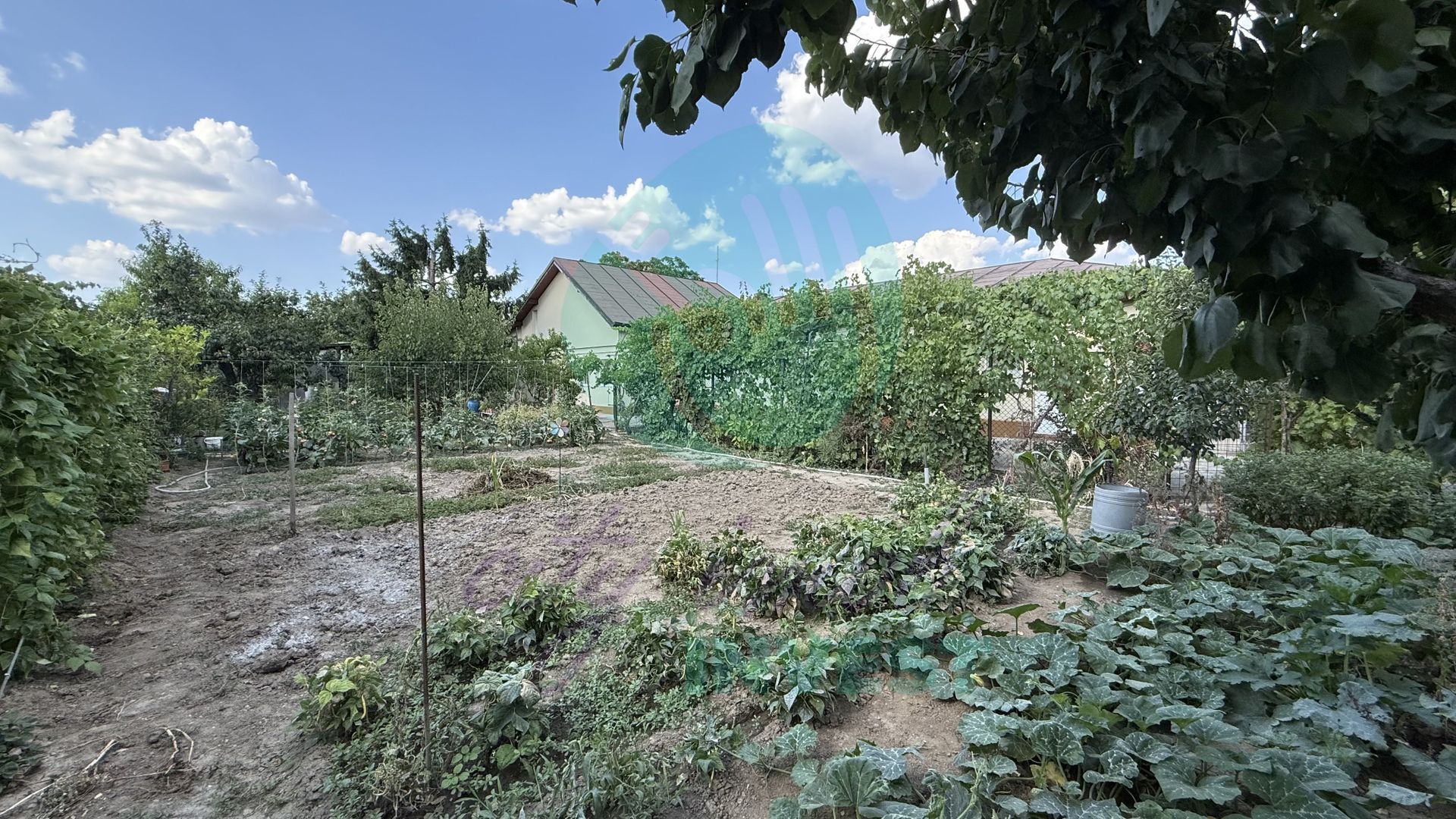 Casă parter + 1100 mp teren în Popești-Leordeni - Poză 1