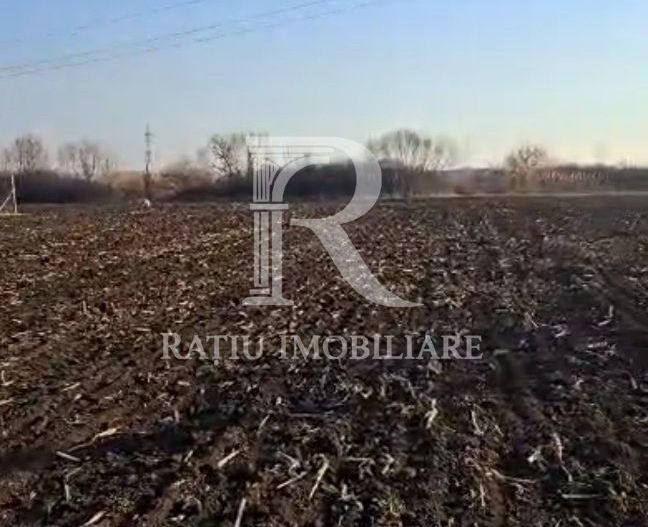 Teren Intravilan | 1780 mp | Sânmartin - Poză 8