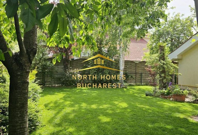 Vila 4 camere 220 mpu - 400 mp teren - Pipera / V Alecsandri - Poză 3