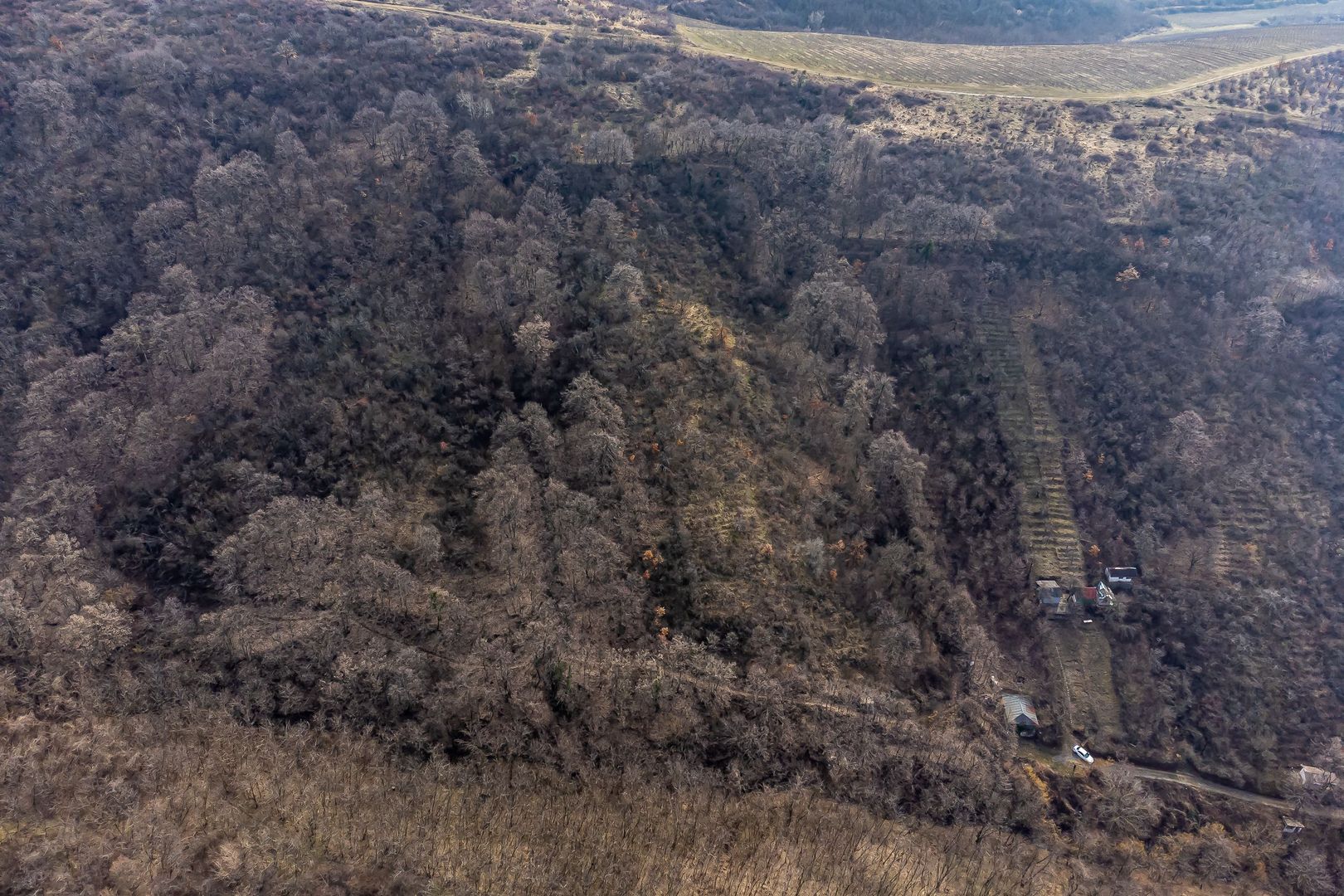 Teren în Ghioroc pe deal - Poză 5