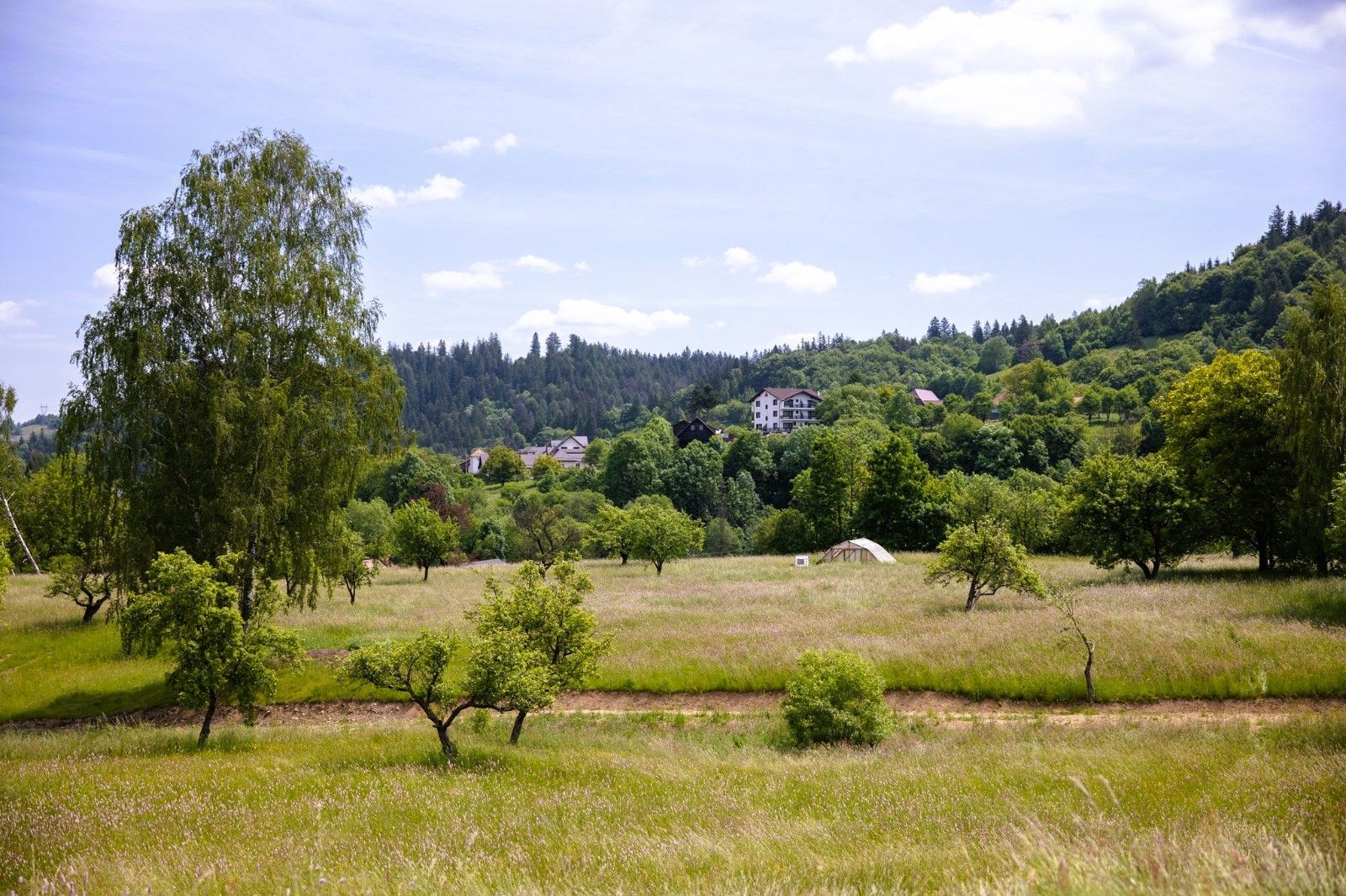 Teren intravilan - 1.050 mp în Bran cu utilitati – priveliște Bucegi - Poză 5