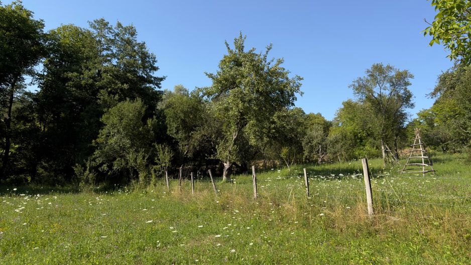 Teren Parau | Valea Danului, Curtea de Arges | Vidraru | - Poză 5