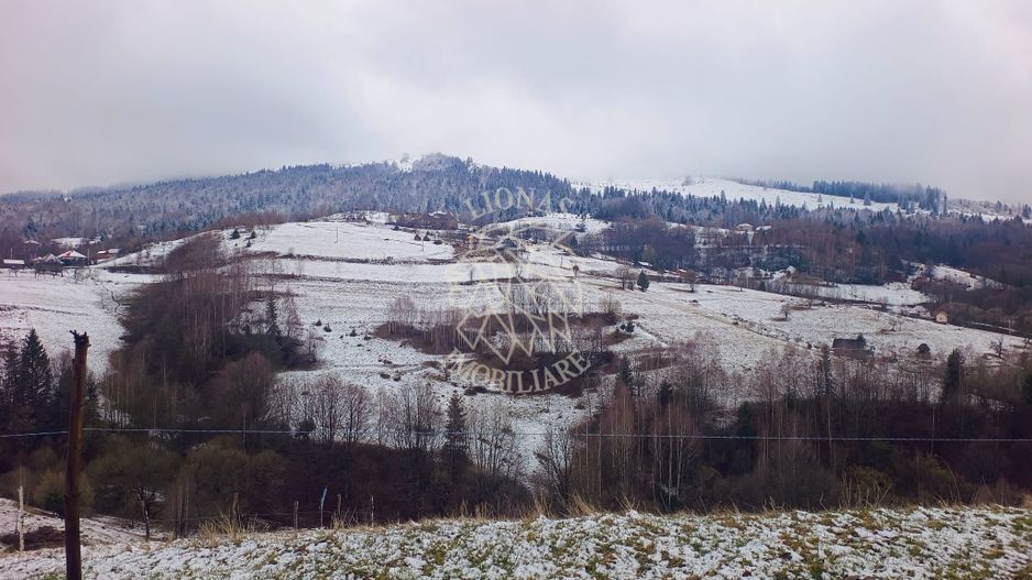 COMISION 0 TEREN TURISTIC EXTRAVILAN APROAPE DE PADURE VISAGU VLADEASA CLUJ - Poză 6