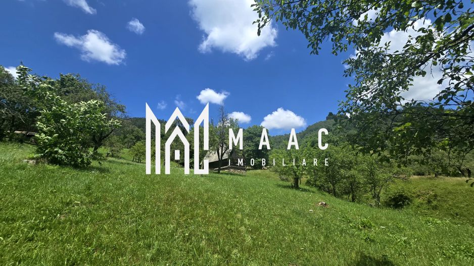 Teren | 2946MP | Priveliște Panoramică | Râu Sadului - Poză 6