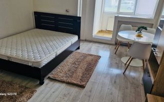 Apartament cu 1 camera (Garsoniera) Pet Frendly-Aleea Carpati - Poză 2