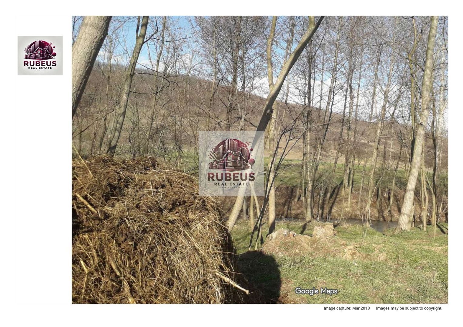 Oportunitate rară! 1 ha pădure Corcova – teren cu potențial real - Poză 5