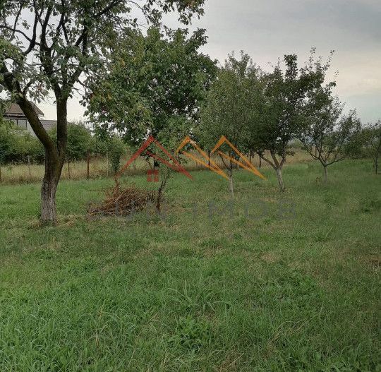 Casa rustica 3 camere, 4000 mp teren, cabana din lemn, pomi fructiferi - Poză 17