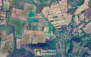 Terenuri agricole de vânzare în Arad – Comuna Tăuț - Poză 2
