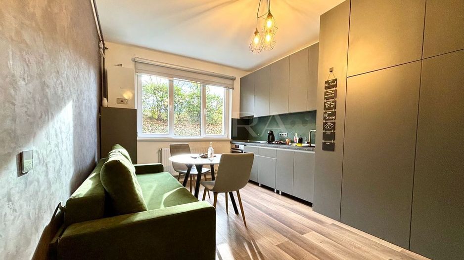 Apartament cu 1 cameră, ideal pentru investiție, Gruia. AirBnb. - Poză 2