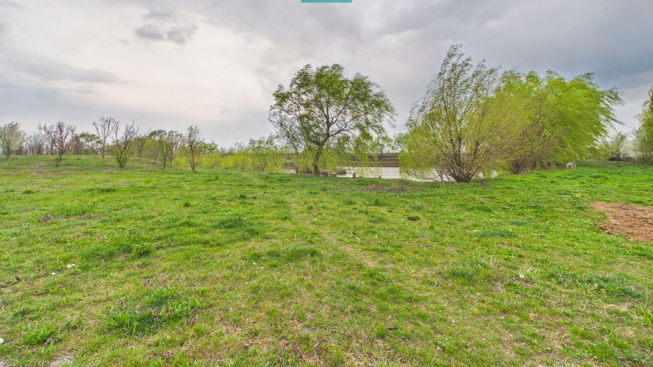 Teren 1 ha cu baltă populată – Alioș (Mașloc) - Poză 4