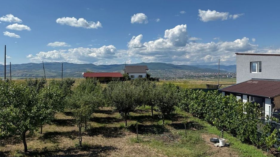 Cabana de lemn, 2 camere, teren 850 mp, livada, Oarda, Alba Iulia - Poză 5