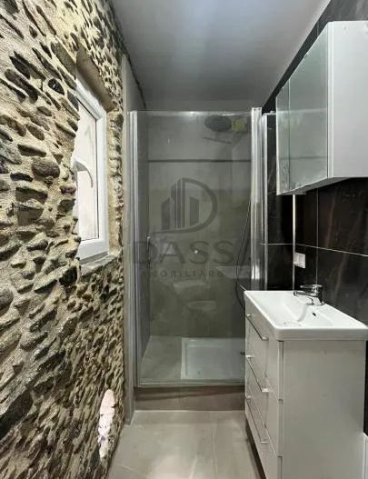Casă individuală 2 camere Saliste Sibiu - Poză 10