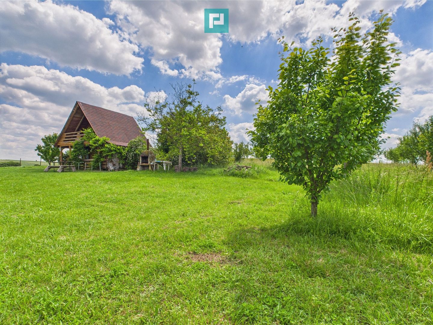 Teren cu baltă- oportunități multiple la Fibiș - Poză 38