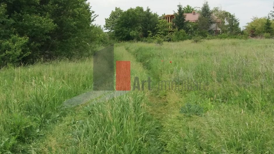 Teren Buftea cu iesire la lac - Poză 23