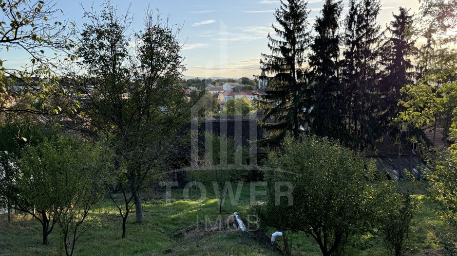 De Vânzare | Casă Individuală | Ocna Sibiului - Poză 9