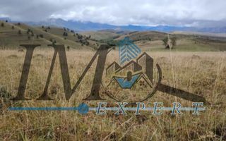 Teren extravilan Transapuseana - Poză 4