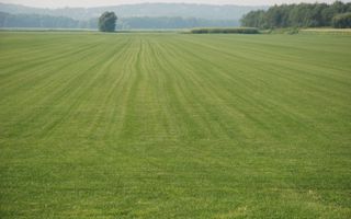 Teren intravilan în zona Baneasa - Poză 3