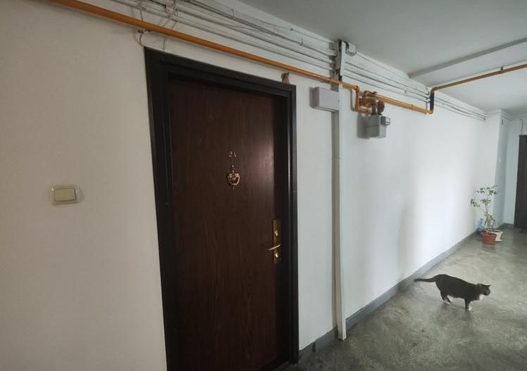 Vanzare Apartament 2 camere , 65mp, bloc 1990– 2 minute Metrou Costin Georgian - Poză 14