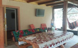 CASĂ DE VACANȚĂ 5 CAMERE,POINANA MĂRULUI, JUD.CARAȘ-SEVERIN - Poză 6