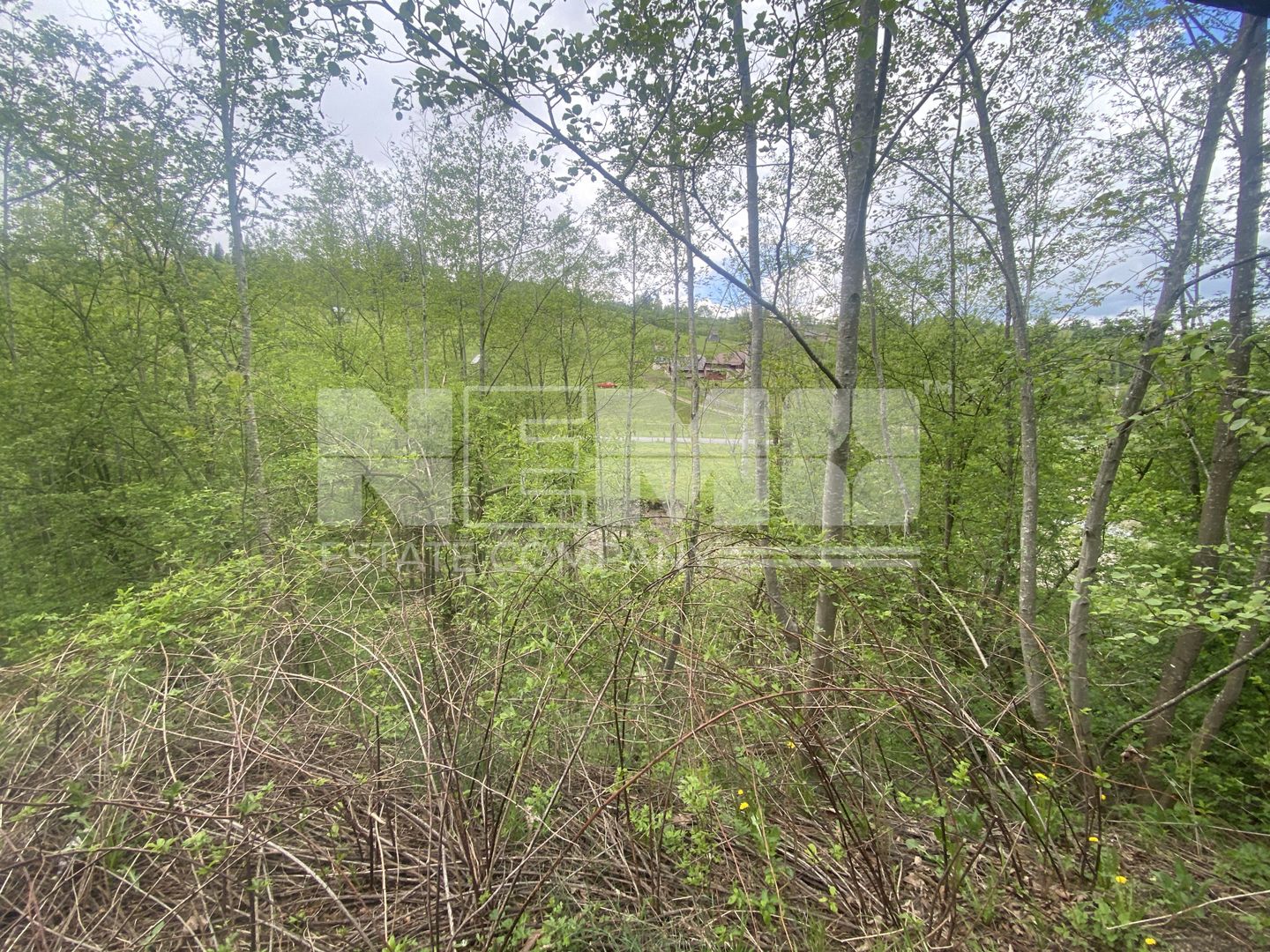 Teren Intravilan | Câmpulung Moldovenesc | 31ARI - Poză 9