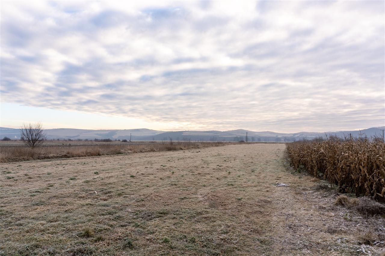 5.000 mp, teren extravilan, conditii apreciabile, Bod, Brasov - Poză 6