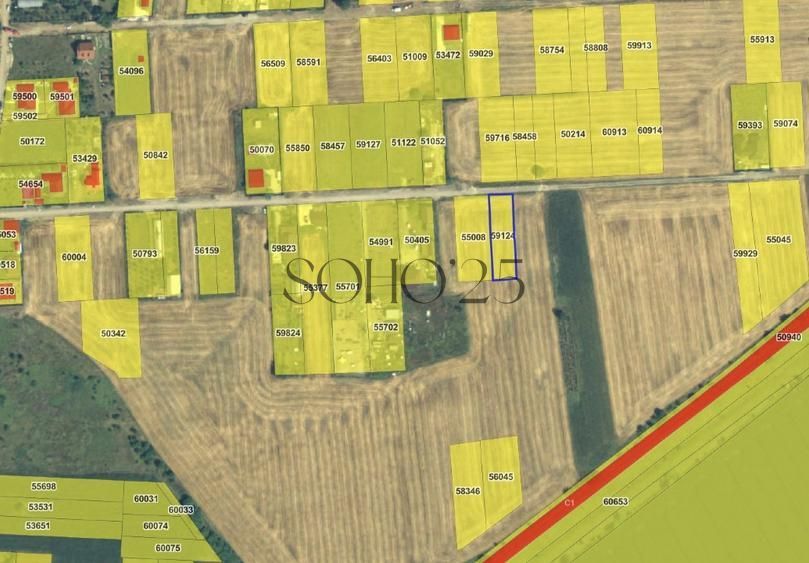 Teren intravilan Caciulati/Moara Vlasiei - Poză 2