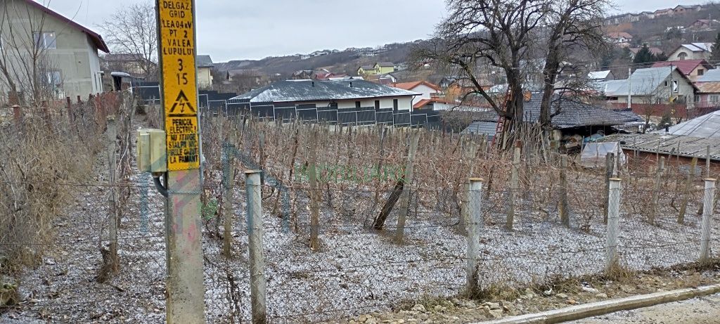 Teren intravilan Valea Lupului 842mp - Poză 5